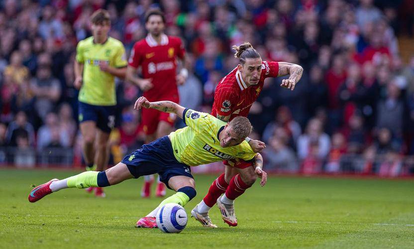 窗口期欧篮联焦点战，底特律活塞篮板制胜，态度坚定，数据趋势出现新变化的简单介绍